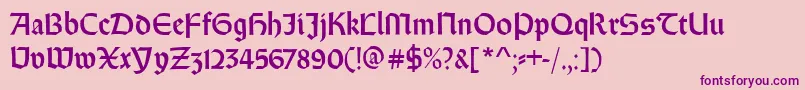 Weissrundgotisch Font – Purple Fonts on Pink Background