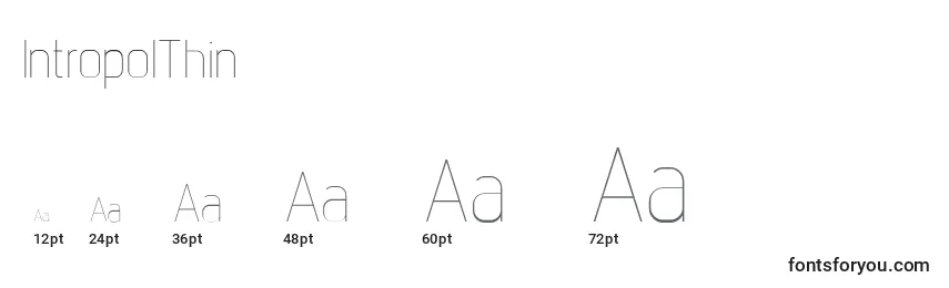 IntropolThin Font Sizes