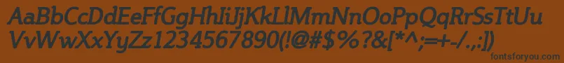 SteinemBoldItalic Font – Black Fonts on Brown Background