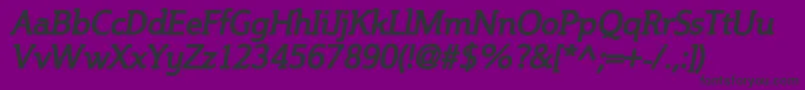 SteinemBoldItalic Font – Black Fonts on Purple Background