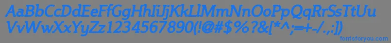 フォントSteinemBoldItalic – 灰色の背景に青い文字