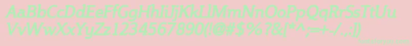 SteinemBoldItalic Font – Green Fonts on Pink Background