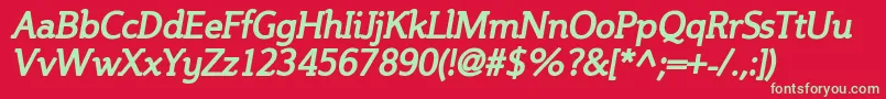 SteinemBoldItalic Font – Green Fonts on Red Background