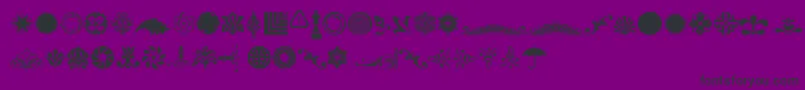 CornucopiaOfOrnamentsFour Font – Black Fonts on Purple Background