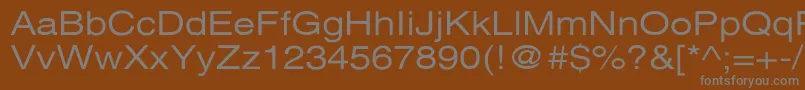 Шрифт XeroxSansSerifWide – серые шрифты на коричневом фоне