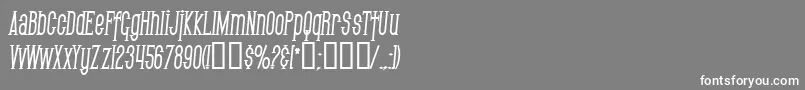 フォントSfGothicanCondensedBoldItalic – 灰色の背景に白い文字