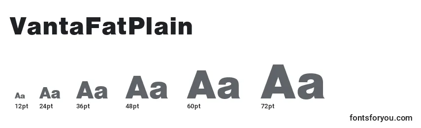 Размеры шрифта VantaFatPlain