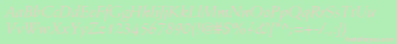 StempelSchneidlerLtItalic Font – Pink Fonts on Green Background