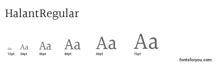 Размеры шрифта HalantRegular