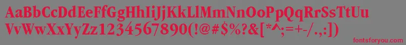 GaramonditcteeconBold Font – Red Fonts on Gray Background