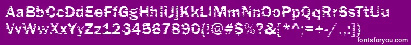 Funky01Bold-Schriftart – Weiße Schriften auf violettem Hintergrund