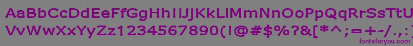 Шрифт DrummonSemibold – фиолетовые шрифты на сером фоне
