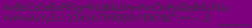 LimerickantiqueRegular Font – Black Fonts on Purple Background