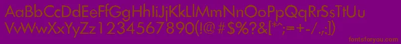 LimerickantiqueRegular Font – Brown Fonts on Purple Background