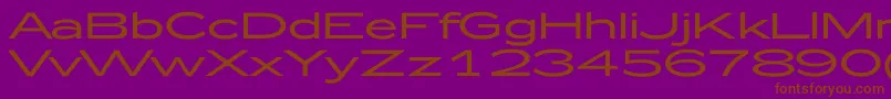 Zeppelin52 Font – Brown Fonts on Purple Background