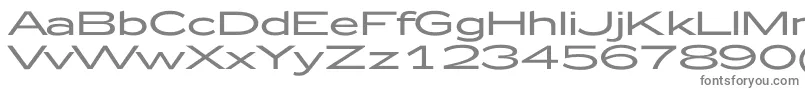 Zeppelin52 Font – Gray Fonts on White Background