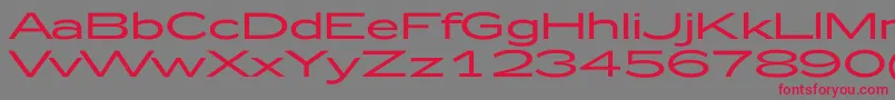 Zeppelin52 Font – Red Fonts on Gray Background