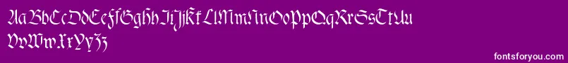 Fracta Font – White Fonts on Purple Background