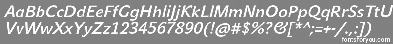 JohnsansMediumProItalic-fontti – valkoiset fontit harmaalla taustalla