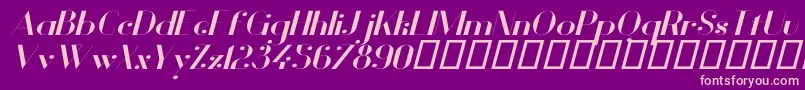 VanityBoldWideItalic-Schriftart – Rosa Schriften auf violettem Hintergrund
