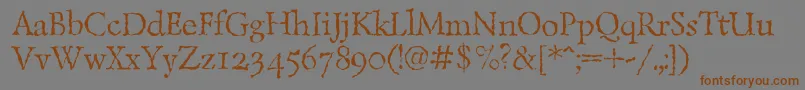 Lazurantiqtextc Font – Brown Fonts on Gray Background