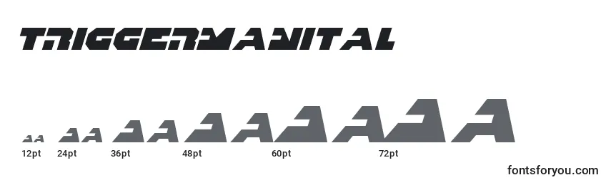 Размеры шрифта Triggermanital