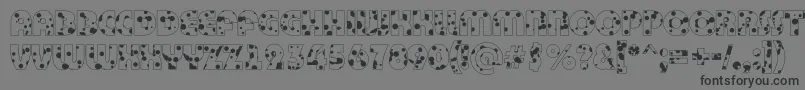BighaustitulotldrRegular-fontti – mustat fontit harmaalla taustalla