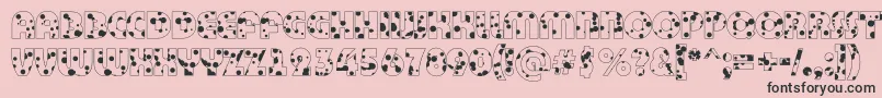 BighaustitulotldrRegular Font – Black Fonts on Pink Background