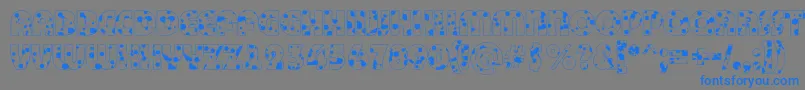 BighaustitulotldrRegular-Schriftart – Blaue Schriften auf grauem Hintergrund