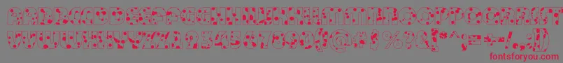 BighaustitulotldrRegular Font – Red Fonts on Gray Background