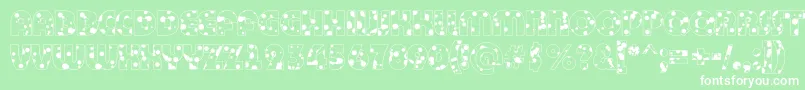 BighaustitulotldrRegular Font – White Fonts on Green Background