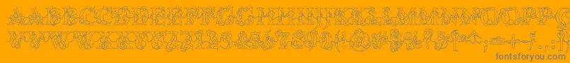 DjLights Font – Gray Fonts on Orange Background