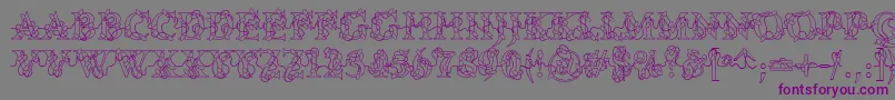 DjLights Font – Purple Fonts on Gray Background