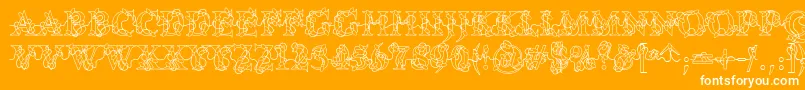 DjLights-Schriftart – Weiße Schriften auf orangefarbenem Hintergrund