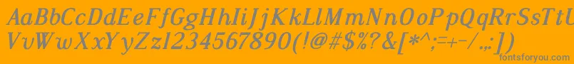 DustismoRomanBoldItalic Font – Gray Fonts on Orange Background