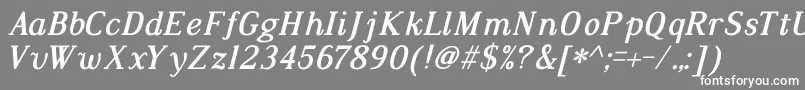 DustismoRomanBoldItalic Font – White Fonts on Gray Background
