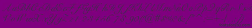 Bravoscriptssk Font – Black Fonts on Purple Background