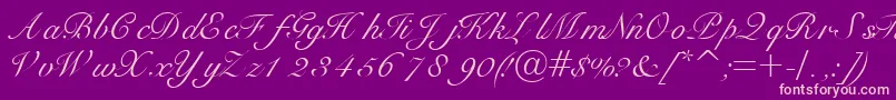 Bravoscriptssk Font – Pink Fonts on Purple Background