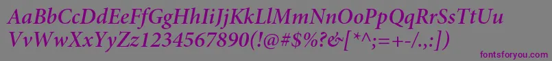 Шрифт MinionproSemibolditsubh – фиолетовые шрифты на сером фоне