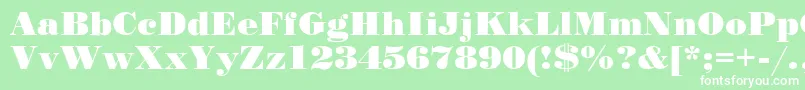 StandardpostercRegular Font – White Fonts on Green Background