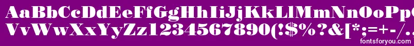 StandardpostercRegular Font – White Fonts on Purple Background