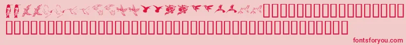 KrReneesHummingbirdsTwo Font – Red Fonts on Pink Background