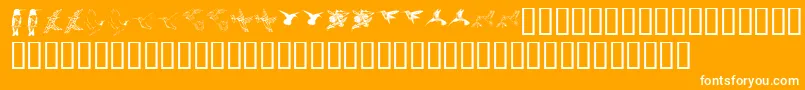 KrReneesHummingbirdsTwo-Schriftart – Weiße Schriften auf orangefarbenem Hintergrund