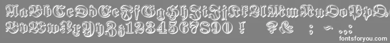 フォントProclamateRibbon – 灰色の背景に白い文字