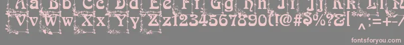 ArnoldBocklincInitialOne Font – Pink Fonts on Gray Background