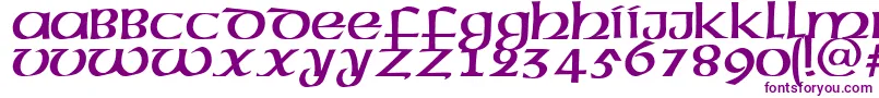 Megen Font – Purple Fonts on White Background