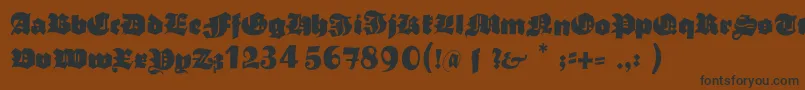 Typoasisboldgothic Font – Black Fonts on Brown Background