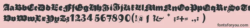 Typoasisboldgothic Font – Black Fonts on Pink Background