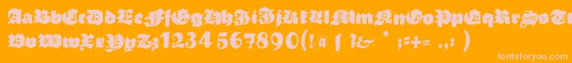 Typoasisboldgothic Font – Pink Fonts on Orange Background