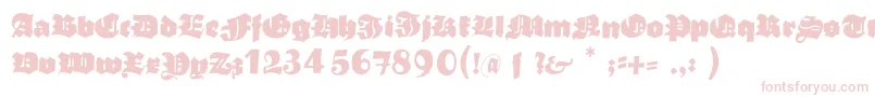 Typoasisboldgothic Font – Pink Fonts on White Background
